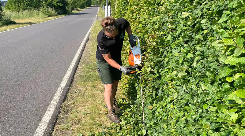 Eine Frau schneidet und formt eine Hecke