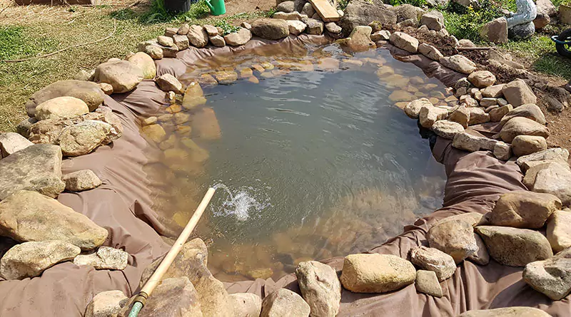 Wasserstrahl fällt auf hausgemachten Teich im Garten.